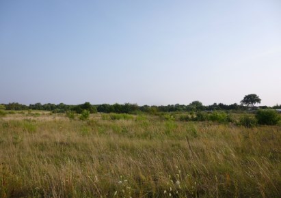 działka na sprzedaż - Gąsawa, Obudno