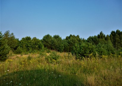 działka na sprzedaż - Złotniki Kujawskie, Będzitowo